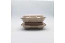 China 3 Compartment Biodegradable Clamshell Food Containers 9 Inch Greaseproof supplier