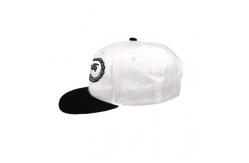 China Creative Design Flat Brim Snapback Hats Cloth Embroidery On Panels supplier