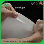 New Technology 120gsm 144gsm 168gsm Roll Synthetic Paper for sale