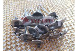 China Passive Fire Insulation Lacing Anchor Pin supplier