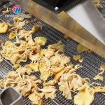 Large-scale fruit and vegetable washing,drying and cutting production line