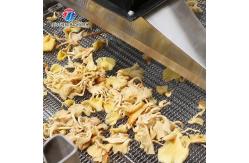 China Large-scale fruit and vegetable washing,drying and cutting production line supplier