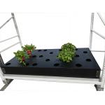 40 Site Aeroponic Hydroponic Growing Boxes Tomato Hydro Grow System for sale