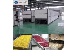 China Litchi Apple Pineapple Grape Belt Dryer Machine Dehydrator Dryer supplier