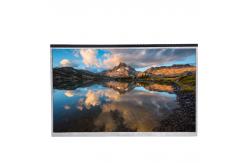 China 350Cd/m2 High Brightness LCD Display 10 Inch LCD Screen supplier