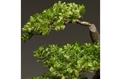 China OEM High Imitation Artificial Landscape Trees For Airports supplier