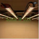Led Plant Light Cover 2000w Full Spectrum LED Grow Light