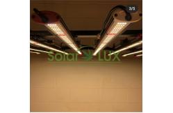 China Led Plant Light Cover 2000w Full Spectrum LED Grow Light supplier