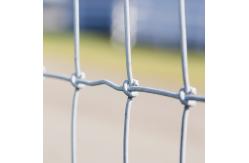 China Customized galvanized hinge joint field cattle goat fences farm guard deer netting supplier