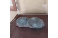 China Life Size Dinosaur Replica , Dinosaur Replica Fossil For Business Activities supplier