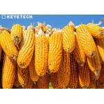 Remote Online After-sales Grain 3d Inspection Equipment for lab Analyzer