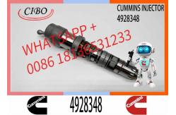 China Q19 Diesel Engine Common Rail Injector 4087888 4087889 4928348 4010025 4928345 4928346 supplier
