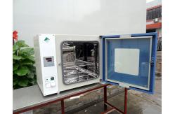 China Lab Drying Oven Environmental Test Chamber Vacuum Drying Equipment supplier