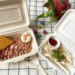 600ml Lunch Biodegradable Bagasse Tableware Disposable Takeaway Containers for sale