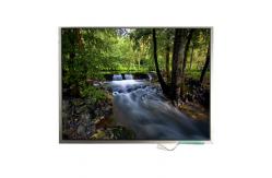 China LTM12C318P 12.1 inch TFT-LCD Screen Display supplier