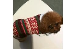 China 35cm Sleeveless Soft Plush Dog Christmas Coat supplier