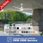 38W 3 Blades Remote Control Ceiling Fan With Dimmable LED Light