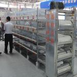 Durable Chicks Brooder Cage Multi Tiers H Type Small Fully Automatic for sale