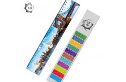 China Deep Images 3D Dolphin Cartoon Scale Lenticular Photo Printing / PET Plastic Straight Ruler supplier