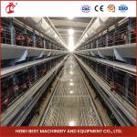 Automatic System Poultry Chicken Battery Cage H Frame Emily