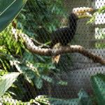 Protected Wild Animal Enclosure Fence Made With Seamless Stainless Steel Mesh for sale