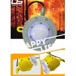 Corrosion proof and explosionproof LED explosion proof light for sale