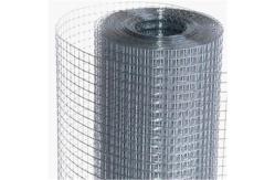 China Livestock Fence Galvanized Welded Wire Mesh Galvanised Iron Wire Mesh 1x1/2inch supplier