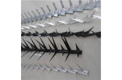 China Galvanised 1.2m Length Anti Climb Razor Spikes For Fence Wall supplier