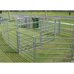 Multi Function Square pipe H1.8m Livestock Fence Panels for sale