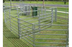 China Multi Function Square pipe H1.8m Livestock Fence Panels supplier