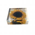 Cubic acrylic resin paper weight with insect and flowers inside acrylic paperweight for sale
