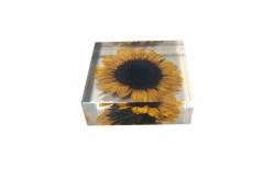 China cubic Acrylic resin paper weight with custom embedding inside supplier