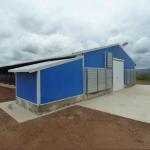 Fireproof Steel Structure Poultry House Automated Ventilation Steel Frame Chicken Coop