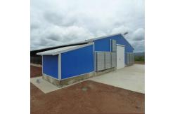 China Fireproof Steel Structure Poultry House Automated Ventilation Steel Frame Chicken Coop supplier