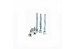 China Customized Hexagonal Socket Screw Countersunk Self Tapping Roller Coaster supplier