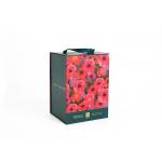 Custom Logo Cardboard Gift Boxes Pantone Color Printed Eco Friendly Packaging for sale