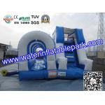 Commercial Inflatable Pool Slides For Kids , Inflatable Slip Slide