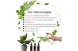 China Sustainable Air Freshener Fragrance Natural Fragrance Oil Perfume For Room Fragrance supplier