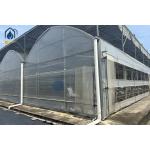 Plastic Multi Span Eco Friendly Greenhouse With Temperature Controlled Growing for sale