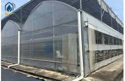 China Plastic Multi Span Eco Friendly Greenhouse With Temperature Controlled Growing supplier