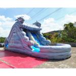 Water Park Plato Commercial Inflatable Slide With Pool for sale