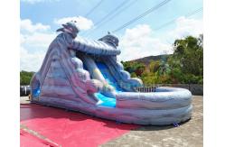 China Water Park Plato Commercial Inflatable Slide With Pool supplier