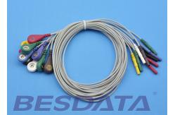 China Safety ECG Cables And Leadwires For  / Datascope / Spacelab supplier