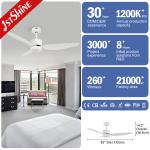 DC Ceiling Fan With Remote Control Plastic Blades High-Speed