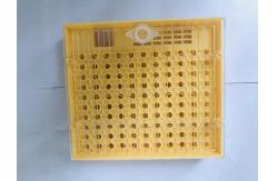China Queen Rearing Cupkit Box Queen Rearing System Cupularve For Beekeeping supplier