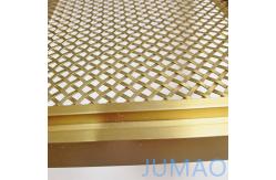 China Custom Mild Steel Cabinet Mesh Inserts Gold Galvanized Surface supplier