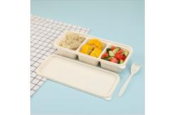 China Cornstarch Degradable Takeaway Disposable Bento Box supplier