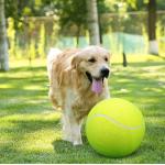 9.5 Inch Rubber Dog Tennis Ball With Inflating Needles for sale