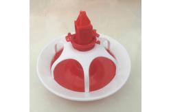 China Duck and goose feeding tray supplier