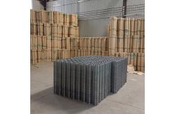 China 3/4 Inch PVC Coated Welded Wire Mesh Security Fencing BWG21-16 supplier